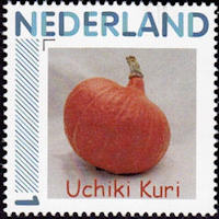 Postzegel blauw kader